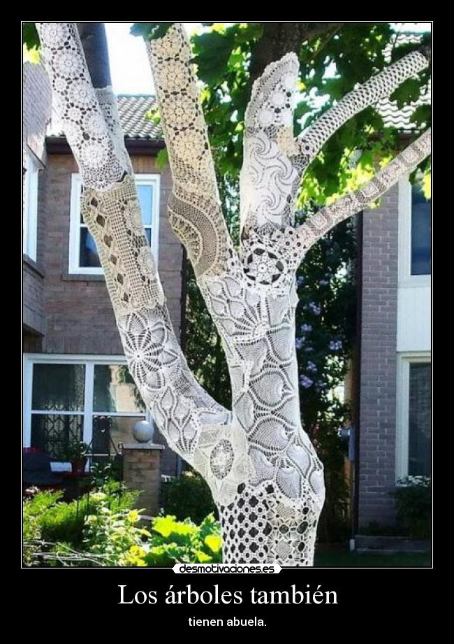 Los árboles también - tienen abuela.