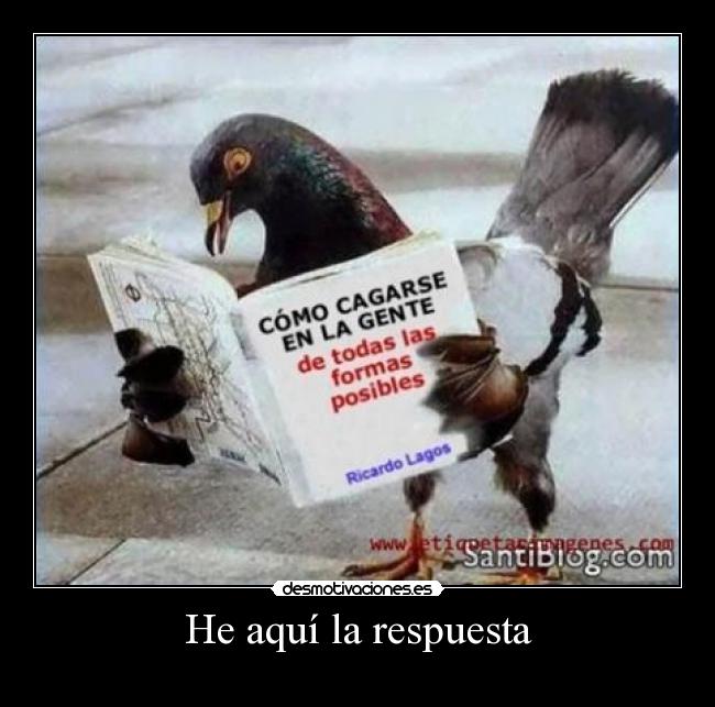 He aquí la respuesta -