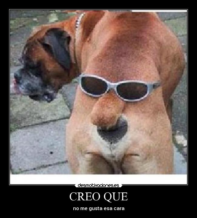 CREO QUE - no me gusta esa cara