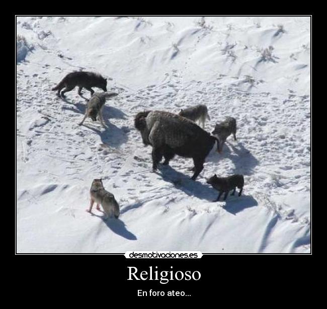 Religioso -