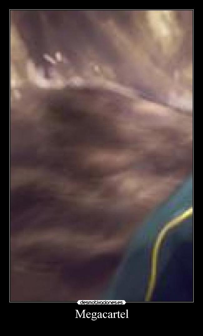 Megacartel -