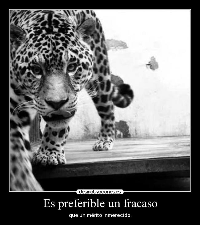 Es preferible un fracaso -
