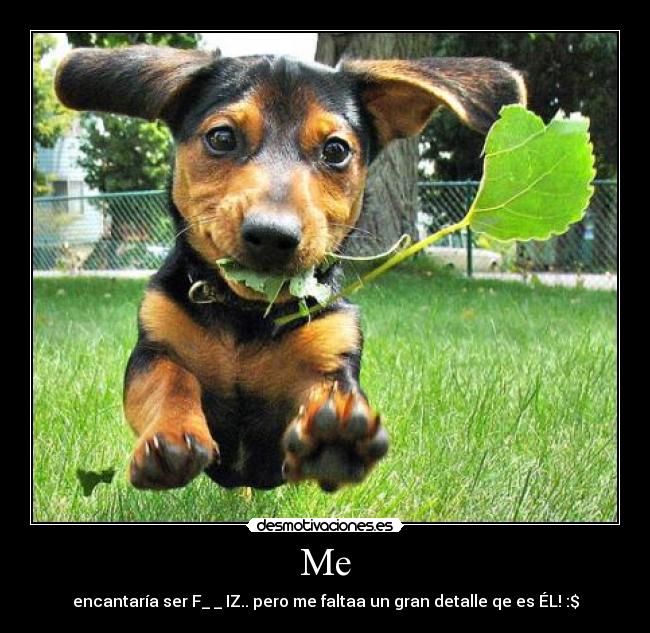 Me - encantaría ser F_ _ IZ.. pero me faltaa un gran detalle qe es ÉL! :$