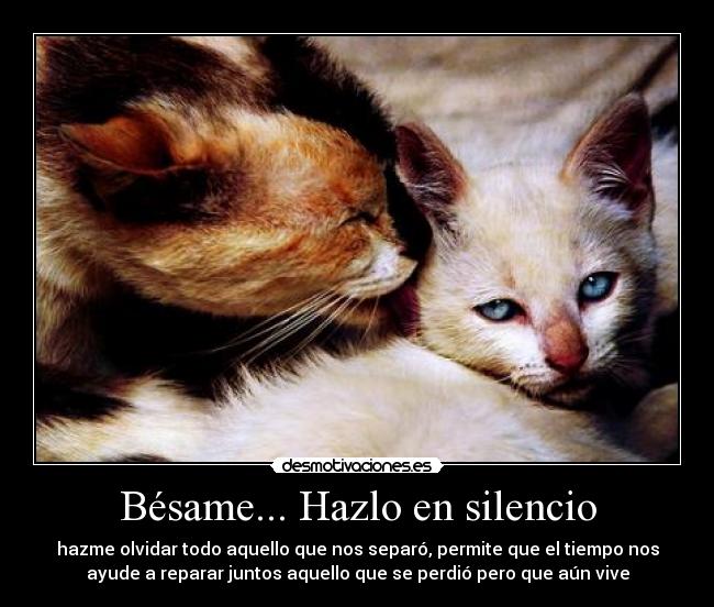 Bésame... Hazlo en silencio - hazme olvidar todo aquello que nos separó, permite que el tiempo nos
ayude a reparar juntos aquello que se perdió pero que aún vive