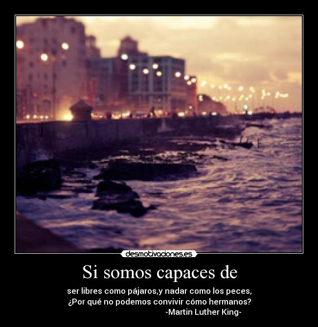 Si somos capaces de - ser libres como pájaros,y nadar como los peces,
¿Por qué no podemos convivir cómo hermanos?
                                             -Martin Luther King-
