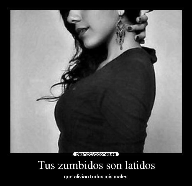 Tus zumbidos son latidos - que alivian todos mis males.