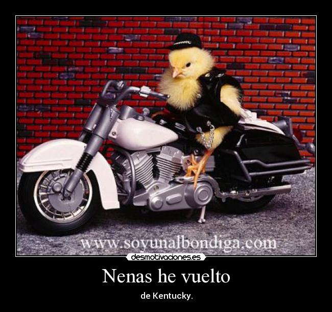 Nenas he vuelto - de Kentucky.