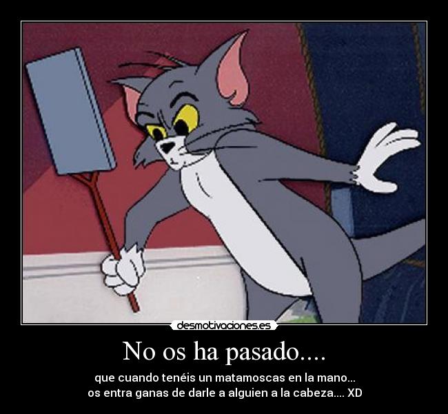 No os ha pasado.... - que cuando tenéis un matamoscas en la mano...
os entra ganas de darle a alguien a la cabeza.... XD