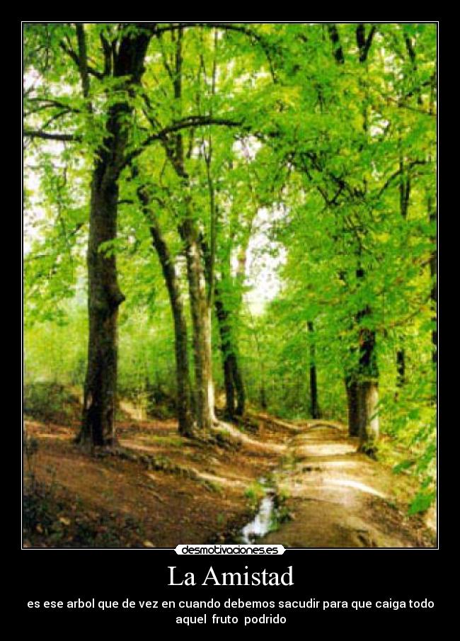 La Amistad - es ese arbol que de vez en cuando debemos sacudir para que caiga todo
aquel fruto podrido