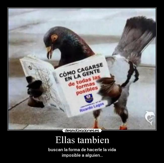 carteles como cagarse desmotivaciones