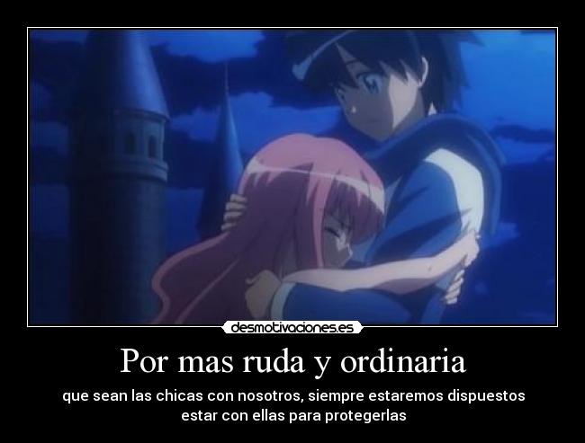 carteles zero tsukaima saito louise novios echos reales chicas peleonas desmotivaciones