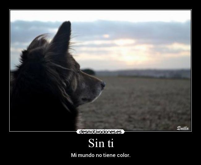 Sin ti -