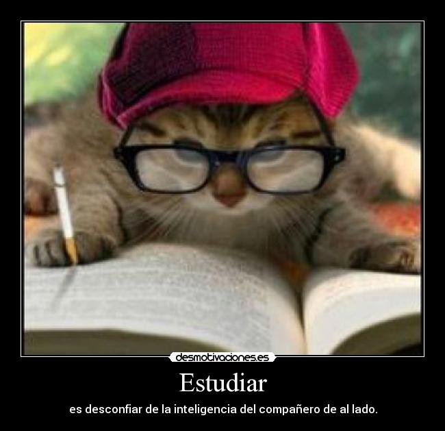 Estudiar - 