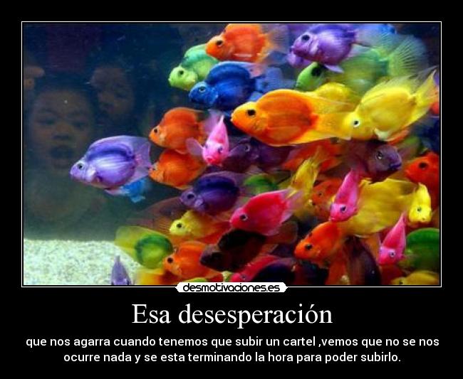 Esa desesperación -