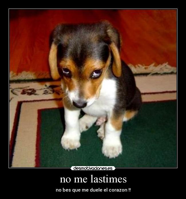 no me lastimes - no bes que me duele el corazon !!