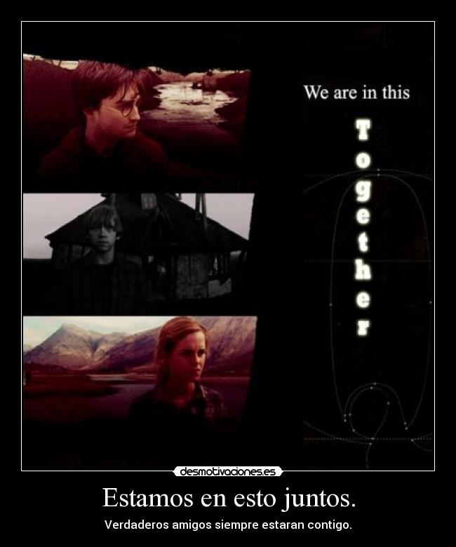 Estamos en esto juntos. -