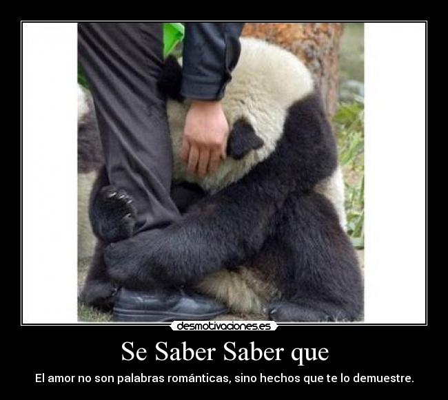 Se Saber Saber que - El amor no son palabras románticas, sino hechos que te lo demuestre.