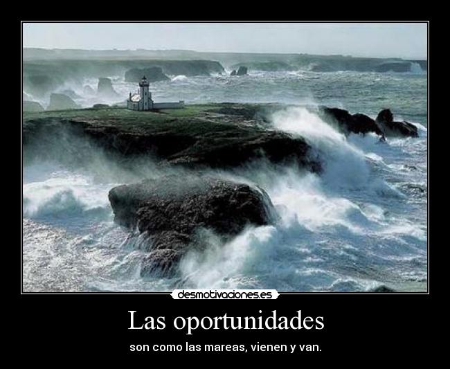 Las oportunidades - son como las mareas, vienen y van.