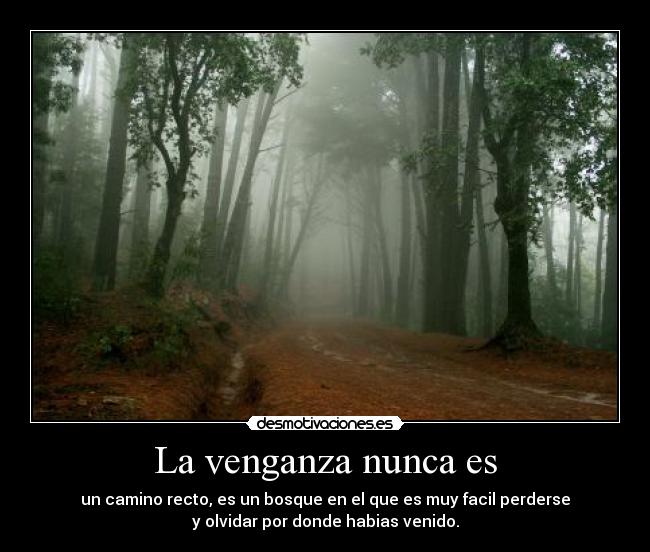carteles venganza nunca camino recto cavediver desmotivaciones