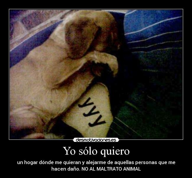 Yo sólo quiero - 