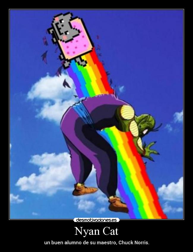 Nyan Cat - un buen alumno de su maestro, Chuck Norris.