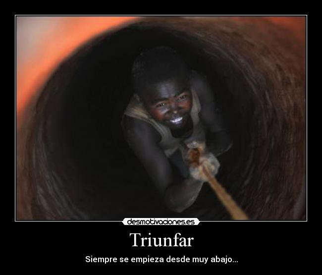 Triunfar - 