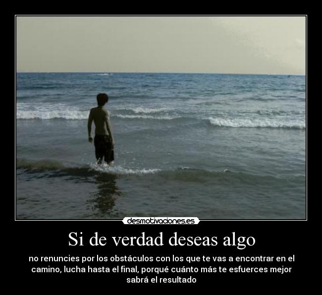 Si de verdad deseas algo - no renuncies por los obstáculos con los que te vas a encontrar en el
camino, lucha hasta el final, porqué cuánto más te esfuerces mejor
sabrá el resultado