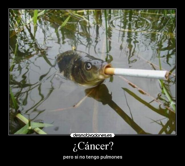 ¿Cáncer? - pero si no tengo pulmones