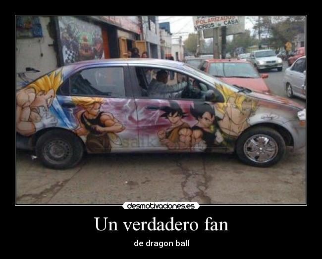 Un verdadero fan - de dragon ball