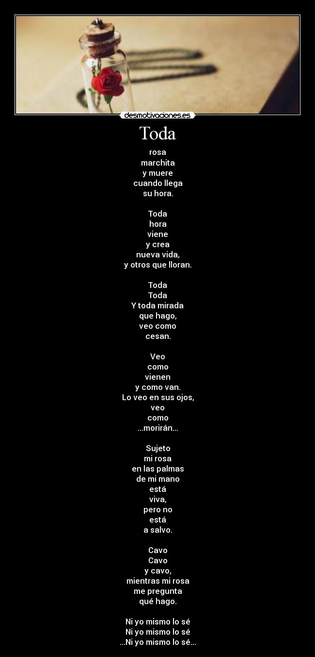 Toda - rosa
marchita
y muere
cuando llega
su hora.

Toda
hora
viene
y crea
nueva vida,
y otros que lloran.

Toda
Toda
Y toda mirada
que hago,
veo como
cesan.

Veo
como
vienen
y como van.
Lo veo en sus ojos,
veo
como
...morirán...

Sujeto
mi rosa
en las palmas
de mi mano
está
viva,
pero no
está
a salvo.

Cavo
Cavo
y cavo,
mientras mi rosa
me pregunta
qué hago.

Ni yo mismo lo sé
Ni yo mismo lo sé
...Ni yo mismo lo sé...