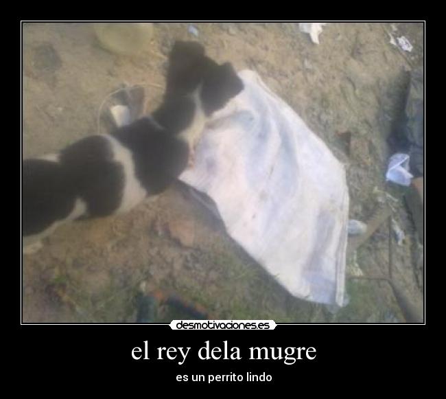 carteles axel1555 desmotivaciones