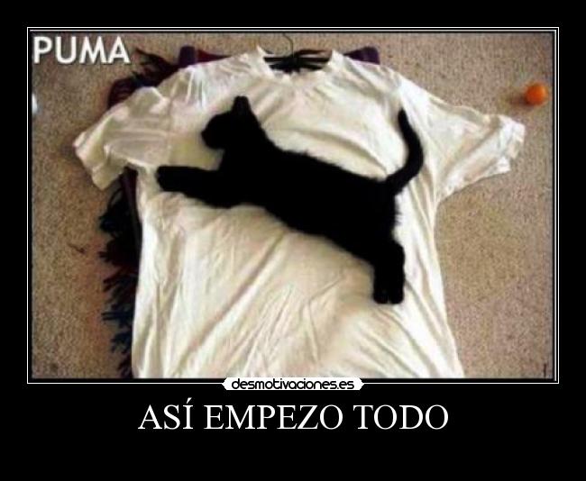 carteles jajaajjaaja desmotivaciones