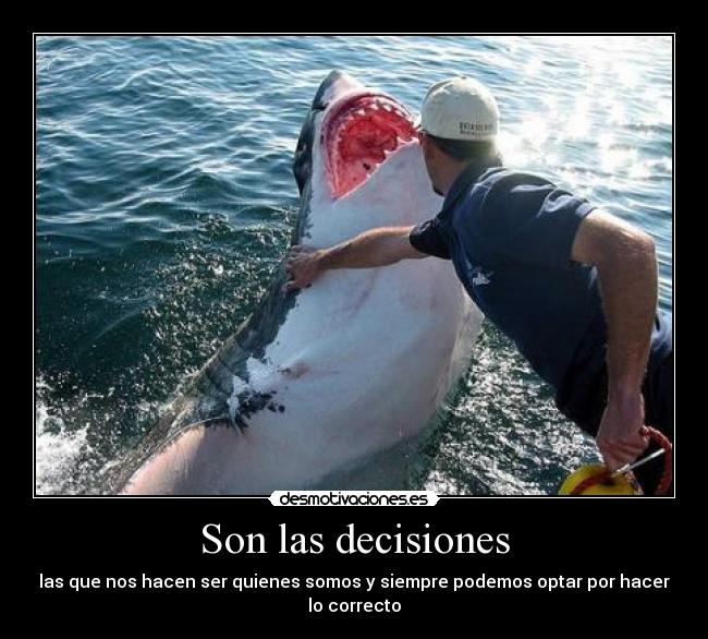 Son las decisiones - las que nos hacen ser quienes somos y siempre podemos optar por hacer lo correcto