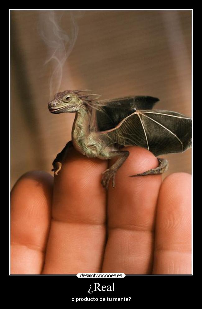 ¿Real - o producto de tu mente?