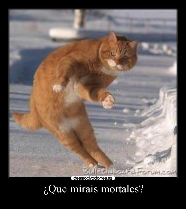 ¿Que mirais mortales? -