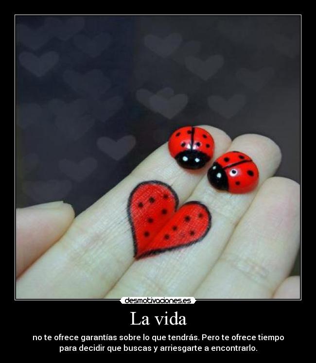 La vida - no te ofrece garantías sobre lo que tendrás. Pero te ofrece tiempo
para decidir que buscas y arriesgarte a encontrarlo.