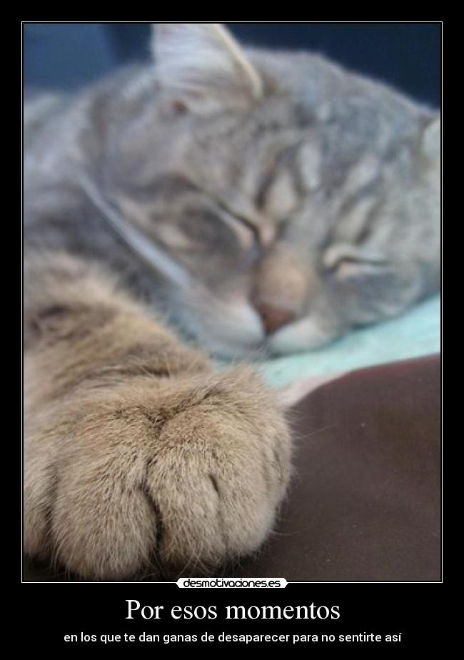 Por esos momentos - en los que te dan ganas de desaparecer para no sentirte así