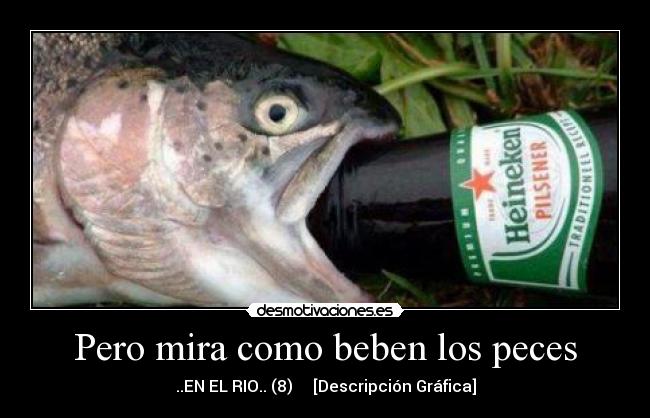 Pero mira como beben los peces - ..EN EL RIO.. (8)     [Descripción Gráfica]