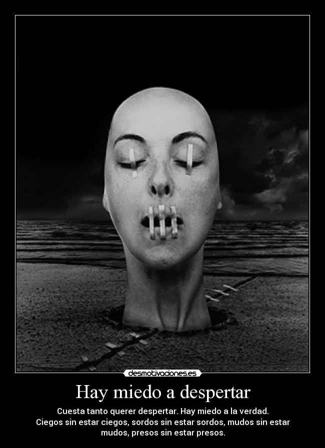 carteles miedo nart nohayverdadquenohayasidomentira ilv sociedaddormida desmotivaciones