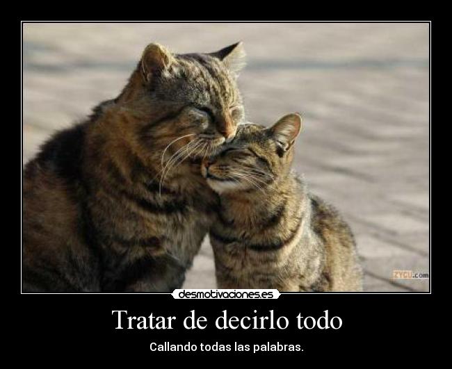 Tratar de decirlo todo - Callando todas las palabras.