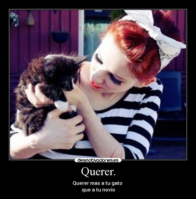Querer. - Querer mas a tu gato
que a tu novio