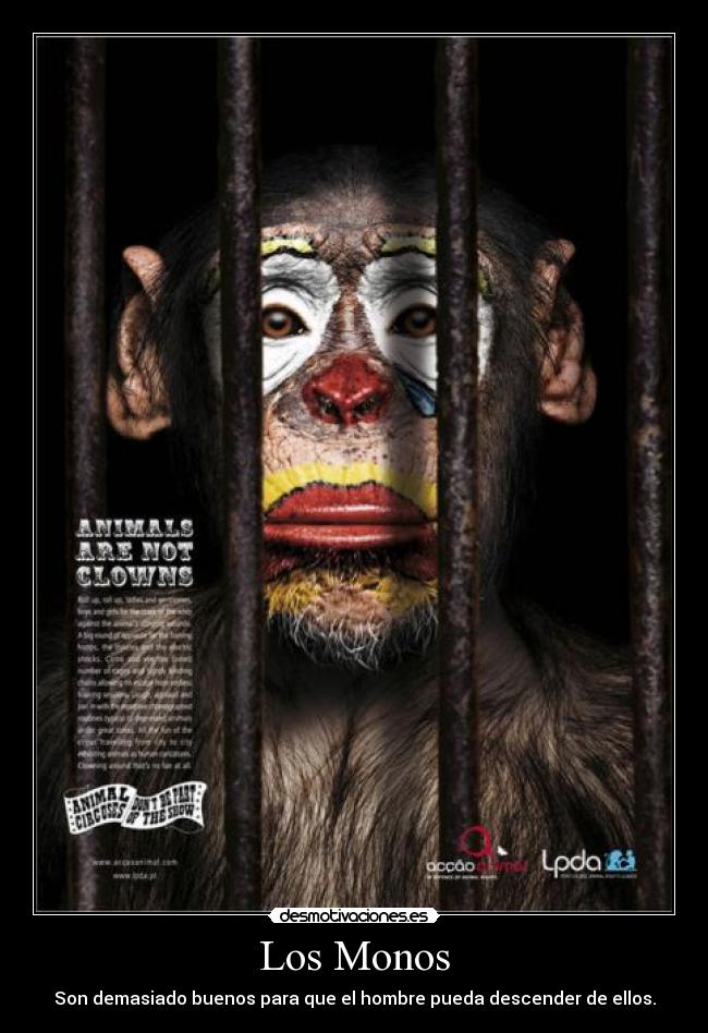 Los Monos -