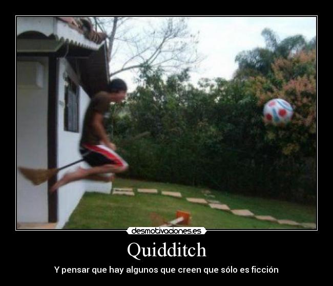 Quidditch - Y pensar que hay algunos que creen que sólo es ficción
