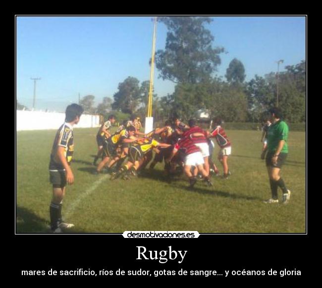 Rugby - mares de sacrificio, ríos de sudor, gotas de sangre... y océanos de gloria