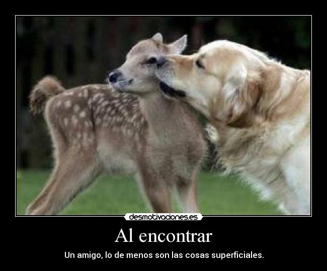 Al encontrar - Un amigo, lo de menos son las cosas superficiales.