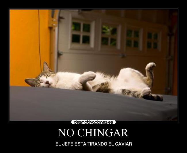 NO CHINGAR - 