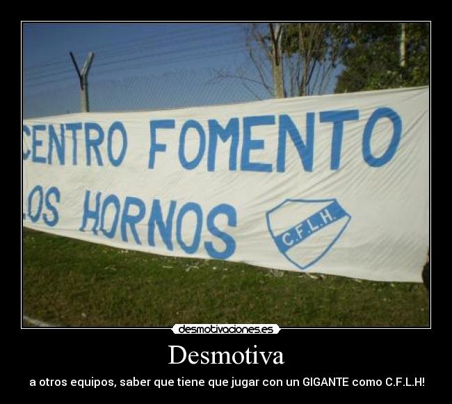 carteles gonza rolon desmotivaciones