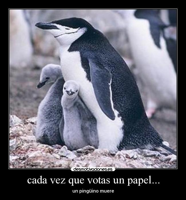 cada vez que votas un papel... -