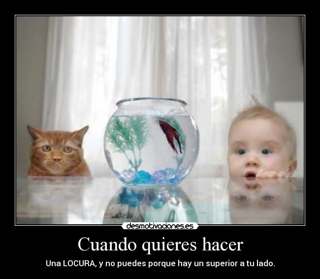 Cuando quieres hacer - 