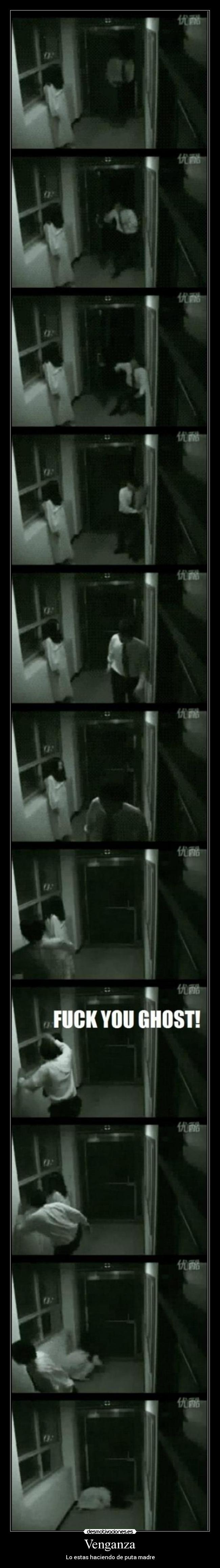 Venganza - Lo estas haciendo de puta madre